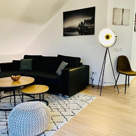 Ein Blick Uber Das Elbtal 드레스덴 외부 사진